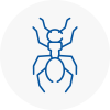 Ant Removals In Kings Heath