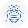 Bed Bug Extermination In Kings Heath