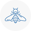 Bee Nest Removal Kings Heath