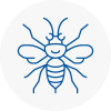 Kings Heath Hornet Nest Removals