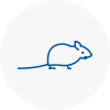 Mice Exterminators In Kings Heath