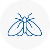 Moth Control Specialists In Kings Heath