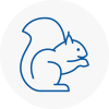 Kings Heath Rodent Removals