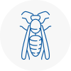 Kings Heath Wasp Nest Removal